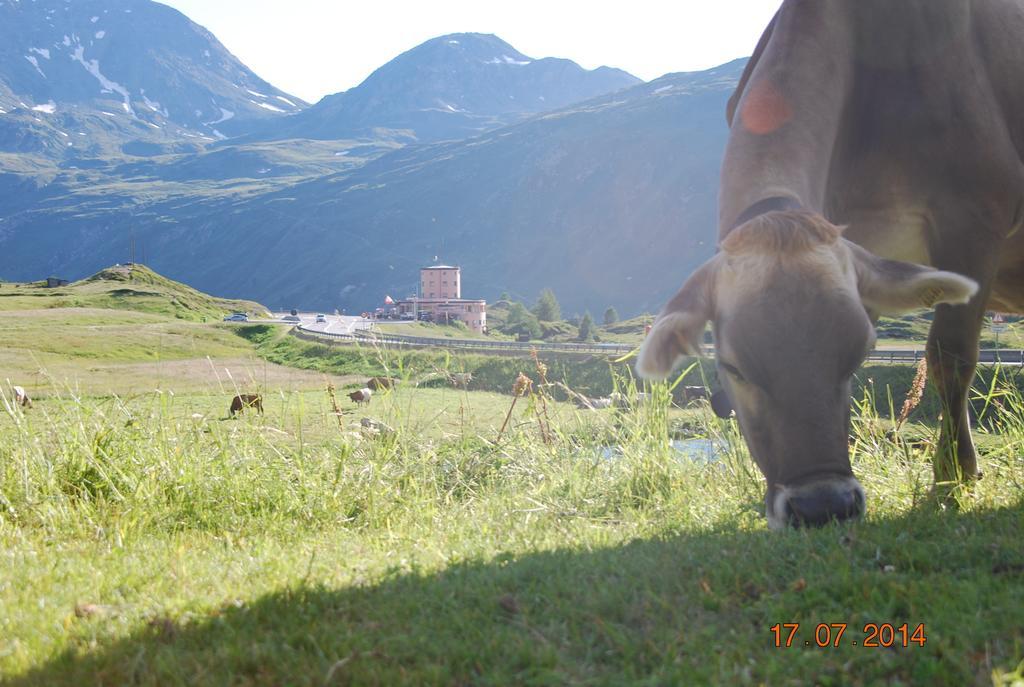 Hotel Restaurant Monte Leone Simplon Buitenkant foto